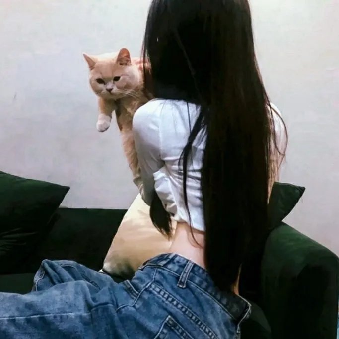 篮球少年张